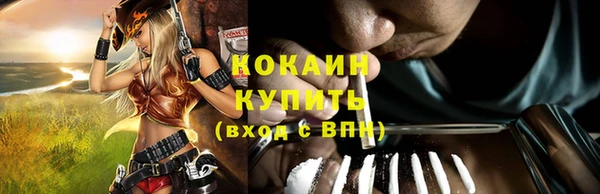 прущие грибы Арсеньев