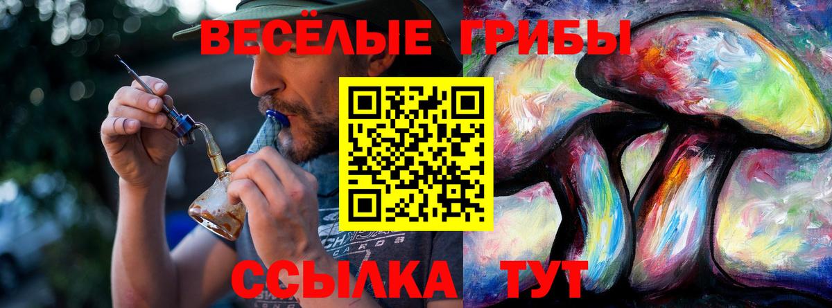Галлюциногенные грибы Cubensis Белая Калитва